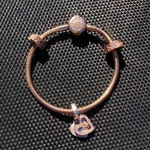 Pandora Charm Bracelet